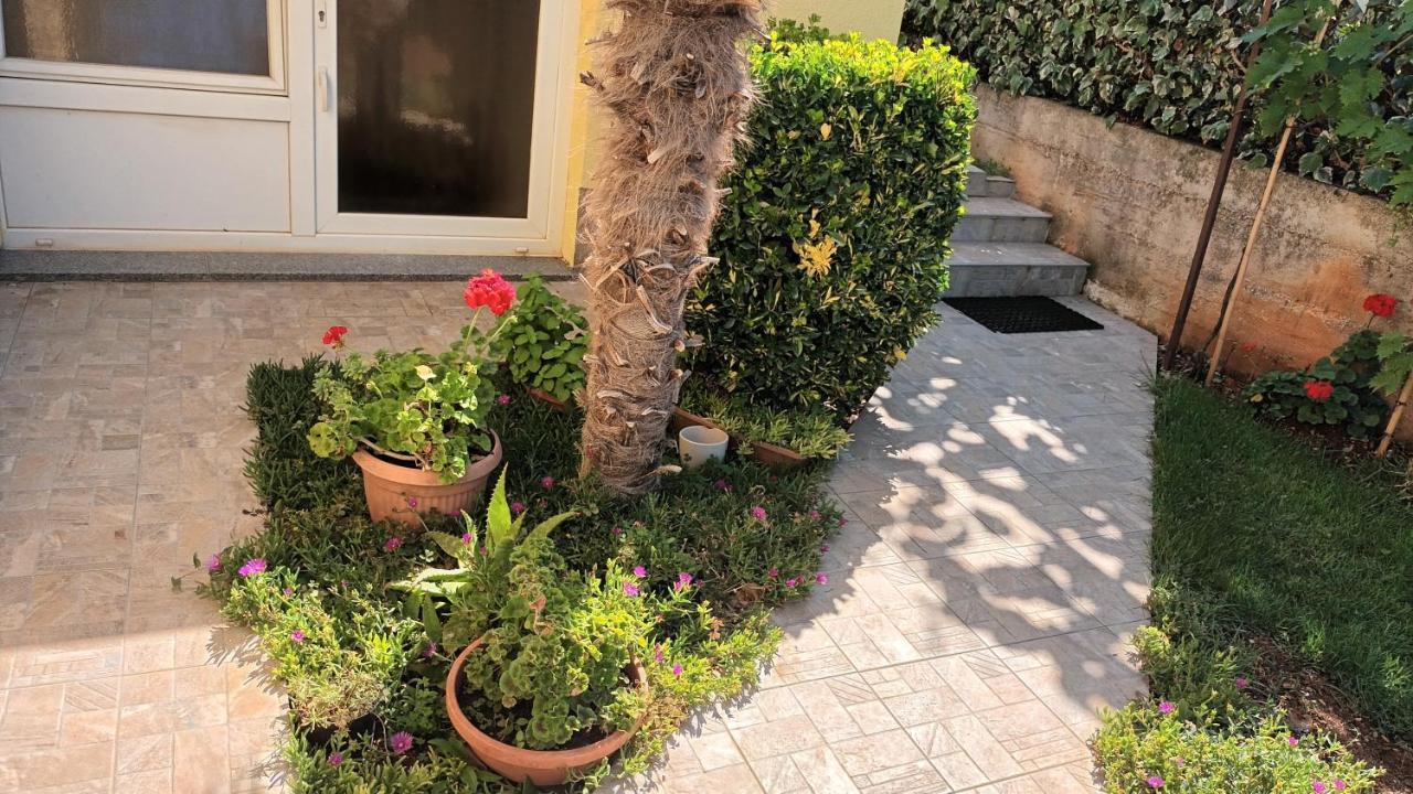 Apartments Monte Magno Пула Екстер'єр фото