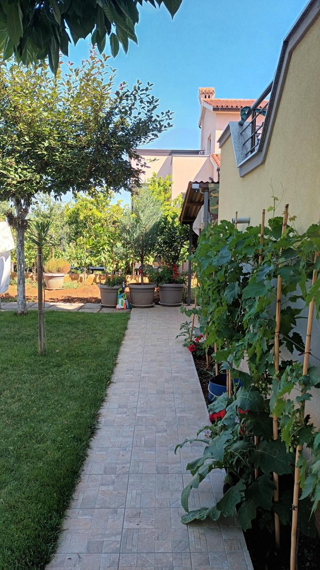 Apartments Monte Magno Пула Екстер'єр фото