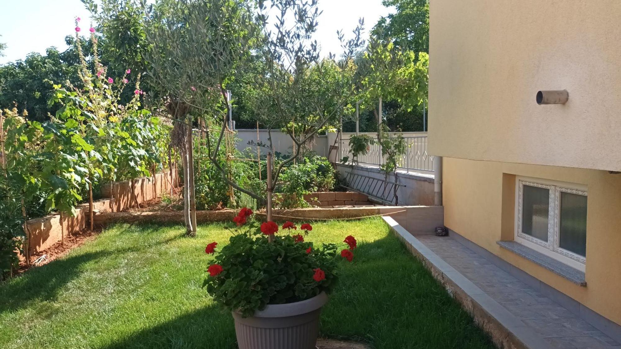 Apartments Monte Magno Пула Екстер'єр фото