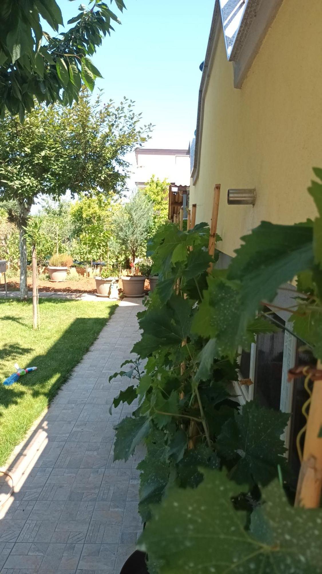 Apartments Monte Magno Пула Екстер'єр фото